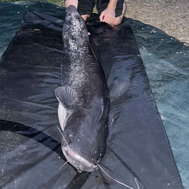 Wychwood Agitator Catfish Mat